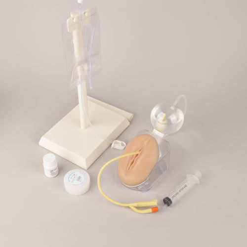 Trainingssimulator - MEQ05005 - MedEduQuest. - für Blasenkatheterisierung / für Allgemeinpflege / für klinische Behandlungen