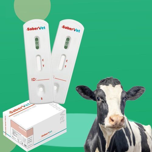 Schnelltest für Maltafieber - SaberVet BRU Ab - Hangzhou Antigenne Technology Co. Ltd - für Veterinärmedizin / für Rinder / Brucella