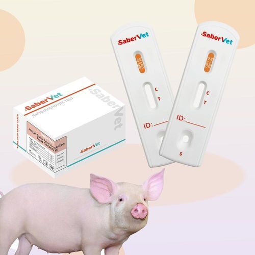 Schnelltest für Infektionskrankheiten - SaberVet CSFV Ab - Hangzhou Antigenne Technology Co. Ltd - für Veterinärmedizin / für Schweine / Viren