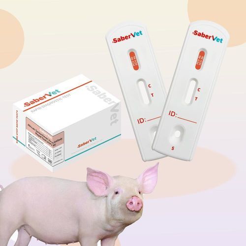 Schnelltest für Infektionskrankheiten - SaberVet PCV Ab - Hangzhou Antigenne Technology Co. Ltd - für Veterinärmedizin / für Schweine / Schweine-Circovirus