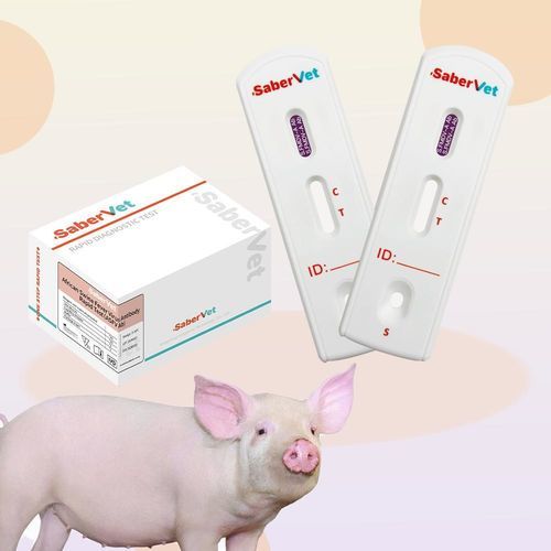 Schnelltest für Infektionskrankheiten - SaberVet S.FMDV-A - Hangzhou Antigenne Technology Co. Ltd - für Veterinärmedizin / für Schweine / Viren
