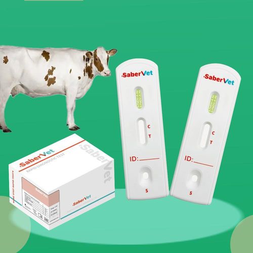 Schnelltest für Infektionskrankheiten - SaberVet FMDV-A Ab - Hangzhou Antigenne Technology Co. Ltd - für Veterinärmedizin / für Rinder / Viren