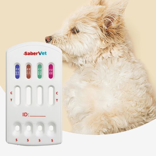 Leishmania-Schnelltest - SaberVet EHR/LSH/ANA/BG Ab - Hangzhou Antigenne Technology Co. Ltd - für Veterinärmedizin / für Hunde / Ehrlichia