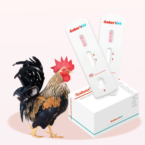 Schnelltest für Vogelgrippe - SaberVet AIV Ag - Hangzhou Antigenne Technology Co. Ltd - für Veterinärmedizin / Viren / Influenza A
