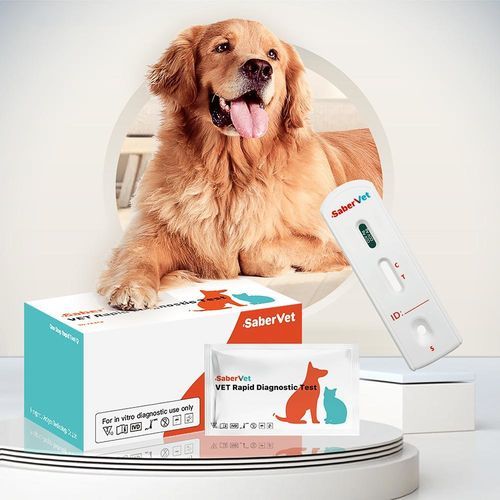 Schnelltest für Infektionskrankheiten - Sabervet CCV Ag - Hangzhou Antigenne Technology Co. Ltd - für Veterinärmedizin / für Hunde / Antigene