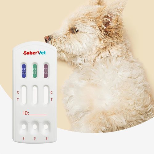 Schnelltest für Infektionskrankheiten - Sabervet EHR/ANA/BC Ab  - Hangzhou Antigenne Technology Co. Ltd - für Veterinärmedizin / für Hunde / Ehrlichia