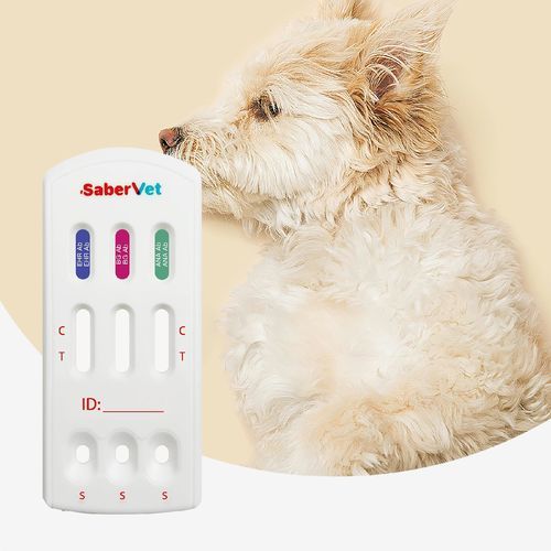 Schnelltest für Infektionskrankheiten - Sabervet EHR/BG/ANA Ab - Hangzhou Antigenne Technology Co. Ltd - für Veterinärmedizin / für Hunde / Ehrlichia