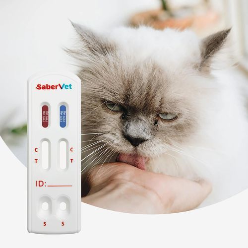 Chlamydien-Schnelltest - SaberVet FHV/FCV Ag - Hangzhou Antigenne Technology Co. Ltd - für Veterinärmedizin / für Katzen / Bordetella bronchiseptica