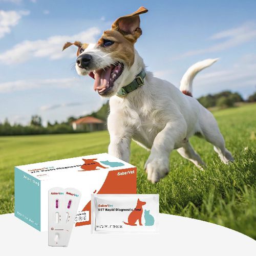 Leishmania-Schnelltest - SaberVet EHR/LSH/ANA/BC Ab  - Hangzhou Antigenne Technology Co. Ltd - für Veterinärmedizin / für Hunde / Ehrlichia