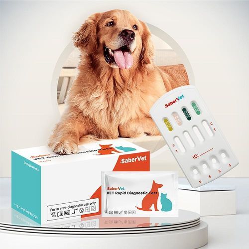 Schnelltest für Giardiasis - SaberVet CDV/CPV/CCV/GIA Ag - Hangzhou Antigenne Technology Co. Ltd - für Staupe / für Veterinärmedizin / für Hunde
