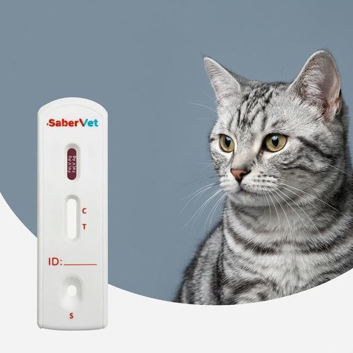 Schnelltest für Katzenleukämie - SaberVet FelV Ag - Hangzhou Antigenne Technology Co. Ltd - für Veterinärmedizin / für Katzen / Antigene