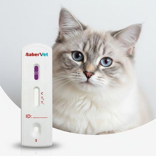 Schnelltest für entzündliche Darmerkrankungen - Sabervet FPL - Hangzhou Antigenne Technology Co. Ltd - für Veterinärmedizin / für Katzen / Lipase