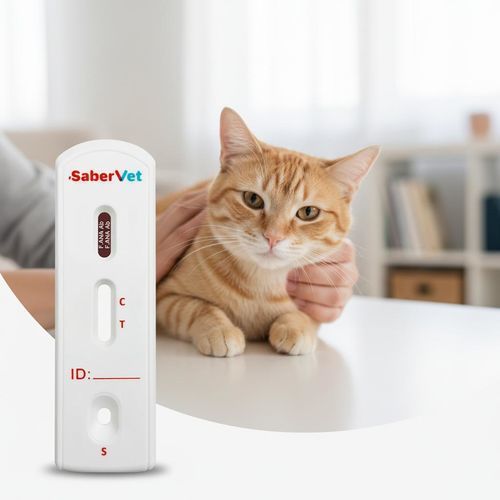 Schnelltest für Veterinärmedizin - SaberVet F.ANA - Hangzhou Antigenne Technology Co. Ltd - für Infektionskrankheiten / für Katzen / für Antikörper