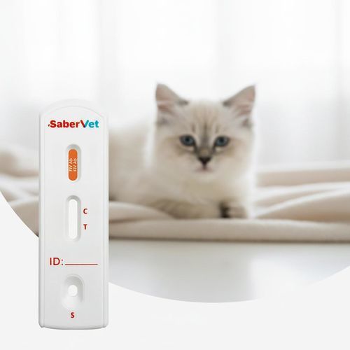 Autoimmunerkrankungen-Schnelltest - Sabervet FIV Ab - Hangzhou Antigenne Technology Co. Ltd - für Veterinärmedizin / für Katzen / Viren