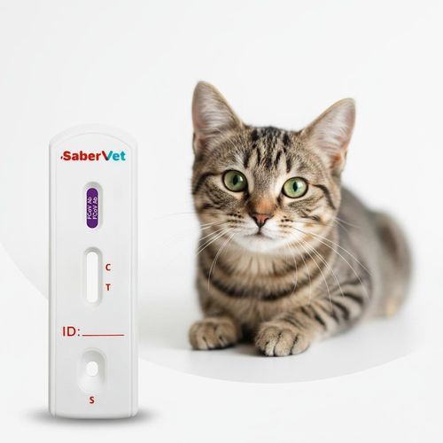 Schnelltest für Infektionskrankheiten - Sabervet FCoV Ab - Hangzhou Antigenne Technology Co. Ltd - für Veterinärmedizin / für Katzen / Coronavirus