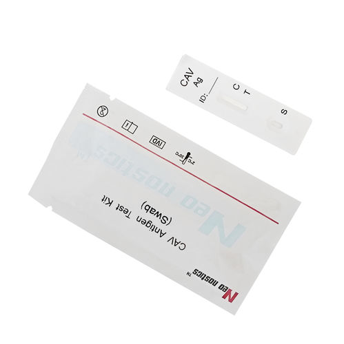 Hundegrippe-Testkit - CAV0151 - Neo-nostics - für Hunde / für Tiere / Antigene