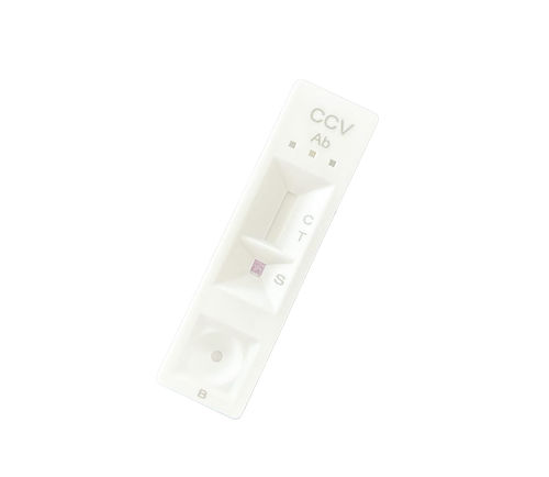 Testkit für Infektionskrankheiten - CCV0144 - Neo-nostics - für Tiere / für Antikörper / Serum