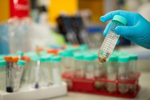 Waschstopfen-Reagenzkit - MagSi - magtivio B.V. - für DNA-Extraktion / Gewebe / flüssig