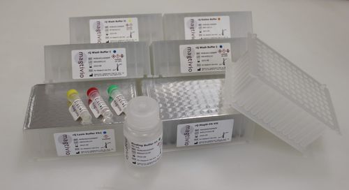 Testkit zur DNA-Extraktion - rQ - magtivio B.V. - Serum / Plasma / Nasen-Rachenraum