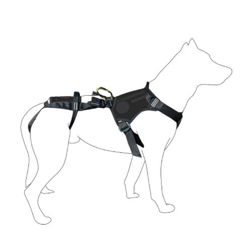 Tragegurt für Veterinärmedizin - MIL2046 - Dimatex Securite SARL - für Hunde