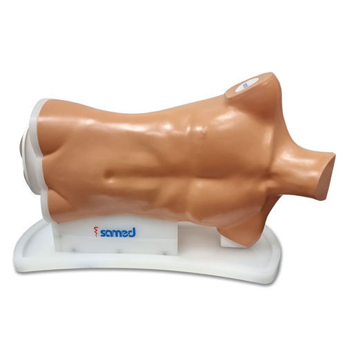Simulator für Koloskopie - LS90 - Samed - Ausbildung / für Gastroenterologie / Oberkörper
