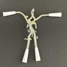 Anatomisches Modell / Circulus arteriosus Willisii - AM10CW - Samed - für Neurochirurgie / Ausbildung / halbtransparent