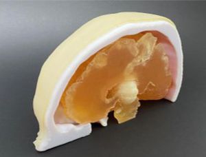 Anatomisches Schädelmodell - AM30BM  - Samed - Gehirn / für Neurochirurgie / Ausbildung