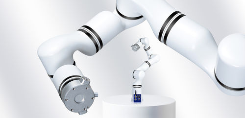 Massage-Roboterarm - RM65-B - RealMan Intelligent Technology - medizinisch / Labor