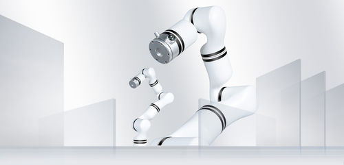 Massage-Roboterarm - RM65-ZF - RealMan Intelligent Technology - medizinisch / Labor