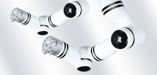 Massage-Roboterarm - RM65-6F - RealMan Intelligent Technology - medizinisch / Labor / 6-Achs