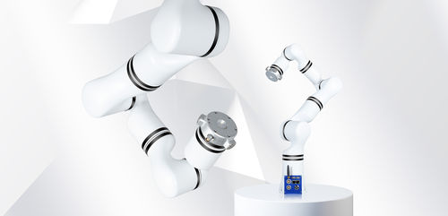 Massage-Roboterarm - RM75-B - RealMan Intelligent Technology - medizinisch / Labor