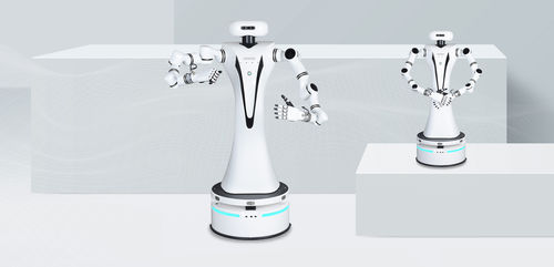 Massage-Roboterarm - RMC-DA - RealMan Intelligent Technology - medizinisch / Labor
