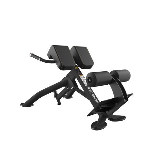 Lenden-Kraftbank - PTT0220F - Etenon Fitness