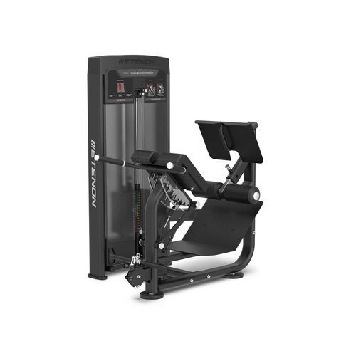 Rückenstreckungs-Kraftstation - R8403 - Etenon Fitness