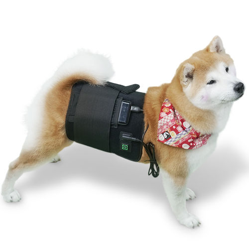 Biostimulationslaser für Veterinärmedizin / für Haustiere - LED-Wrap - Hubei Theypet Technology - für Pferde / am Körper tragbar