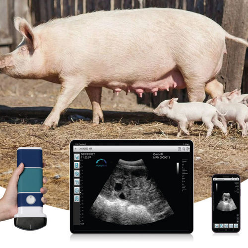 Tierärztliches Ultraschallsystem / Handgerät - LUS110C - Hukui Biotechnology Co.,Ltd. - Multifunktion / für Schweine / Schwarz-Weiß