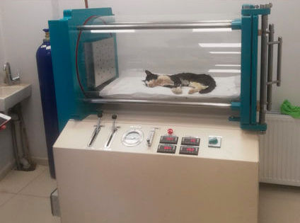 Mobile veterinärmedizinische Überdruckkabine - VETA - Series - Barotech - für Kleintiere