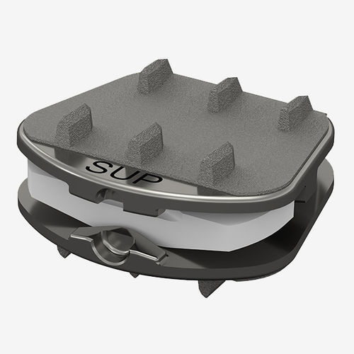 HWS-Wirbelknochenersatz - Synergy Spine Solutions