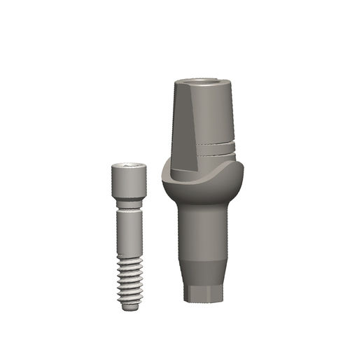 Implantat-Abutment / Titan - CASL - Dental Evolutions, Inc - mit Innenverbindung / gerade