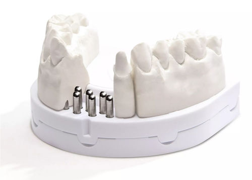 Anatomisches Modell / Gebiss - optibase exclusiv  - Dentona AG - für Implantologie / für Vorführzwecke
