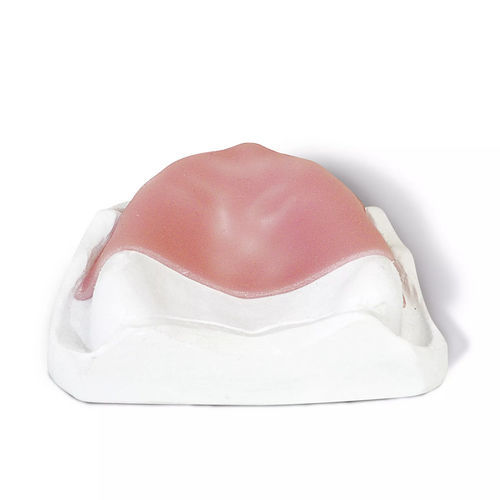 Zahnmedizinisches Material / Verbundwerkstoff - base LC - Dentona AG - zur Dentalrestaurierung / photopolymerisierbar