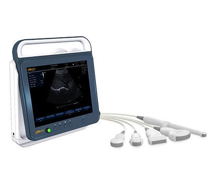 Tragbares Tierärztliches Ultraschallsystem - AGS Medikal Urun. Ith.Ihr.Tic. A.S - Multifunktion / Schwarz-Weiß