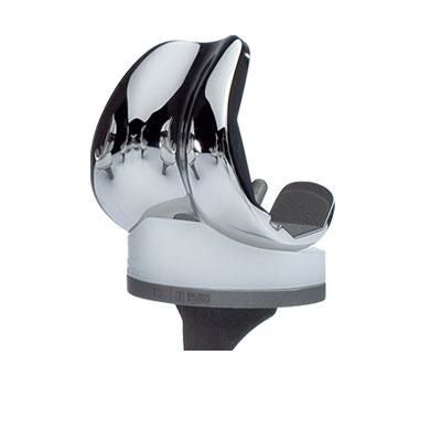 Tibiaplateau mit fester Scheibe - ASKA - Protech Arthroplasty - zementiert
