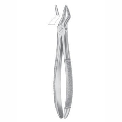 Dentale Extraktionszange / für Kinder - AE 1052 - Arsa Enterprises - für Zahnwurzeln