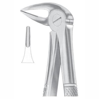 Dentale Extraktionszange / für Zahnwurzeln - AE 1032 - Arsa Enterprises - Dentalsplitter