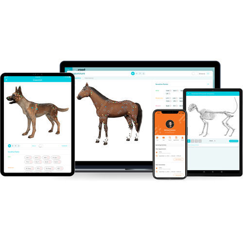 Medizinische Software - AcuroVet® - ArcNovo Tech - TEP / für Veterinärmedizin / Management