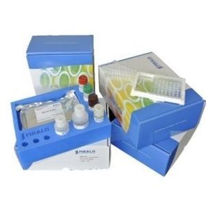 Testkit für Forschungszwecke - RUO - FIRALIS GROUP - Biomarker / Blut / ELISA
