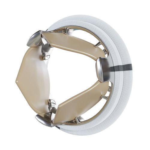 Aortaklappenprothese - TRIFLO - MPS Precimed - Titan