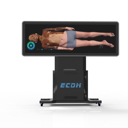 Anatomietisch für die Ausbildung - Shandong Digihuman Technology CO., Inc.