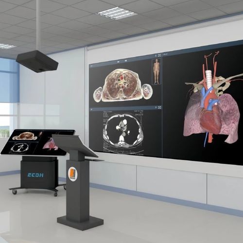 Halb-immersive Virtual-Reality-Plattform - ECDH-Int CAT - Shandong Digihuman Technology CO., Inc. - 3D / medizinisch / mit virtuellem Patienten